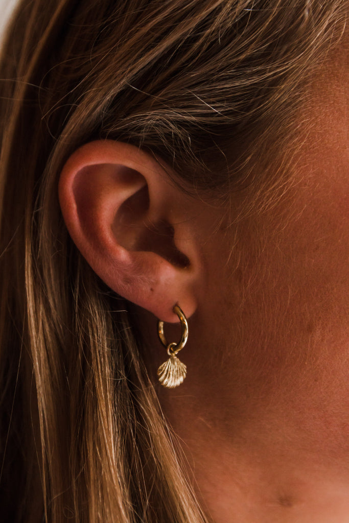 Earrings - Small Shell Hoops - Sweet Palms Jewelry